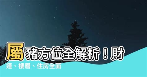 屬豬方位|【屬豬坐向】屬豬座向樓層超神準！住對吉房旺到翻！